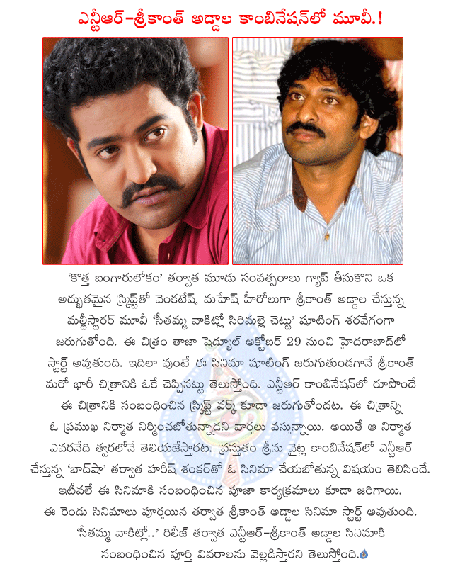 ntr latest movie details,ntr and srikanth addala combo movie details,ntr in badshah shooting,ntr next movie with harish shankar,srikanth addala in svsc shooting,ntr and srikanth addala combo movie in next year  ntr latest movie details, ntr and srikanth addala combo movie details, ntr in badshah shooting, ntr next movie with harish shankar, srikanth addala in svsc shooting, ntr and srikanth addala combo movie in next year